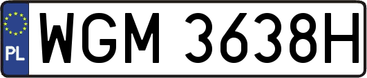 WGM3638H