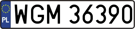 WGM36390