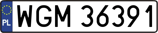 WGM36391