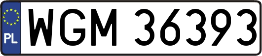 WGM36393