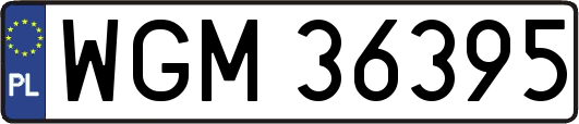 WGM36395