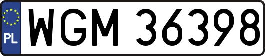 WGM36398
