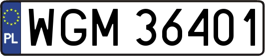 WGM36401