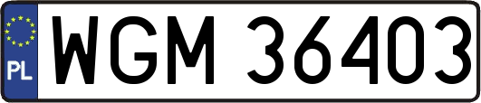 WGM36403