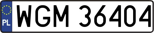 WGM36404
