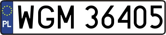 WGM36405