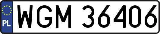 WGM36406