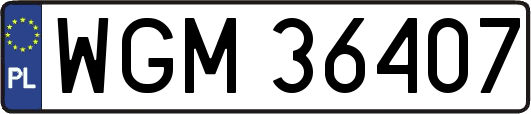 WGM36407