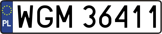 WGM36411