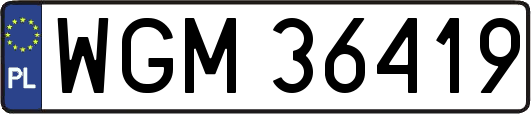 WGM36419