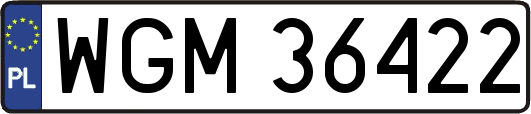 WGM36422