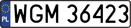 WGM36423