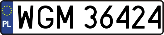 WGM36424