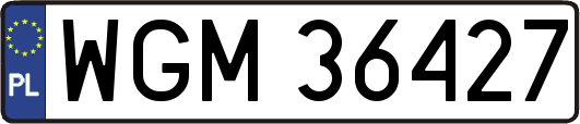 WGM36427