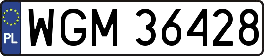 WGM36428
