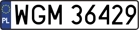 WGM36429