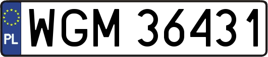 WGM36431