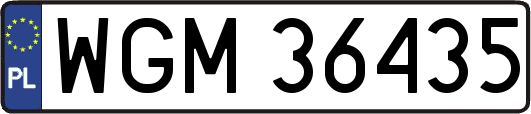 WGM36435