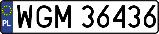 WGM36436