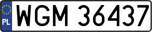WGM36437