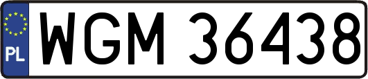 WGM36438