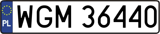 WGM36440