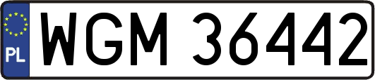 WGM36442