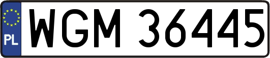 WGM36445