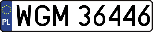 WGM36446