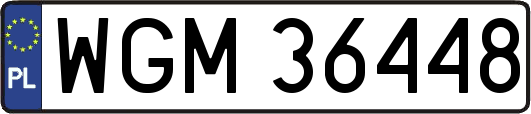 WGM36448