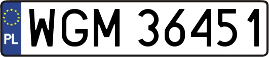 WGM36451