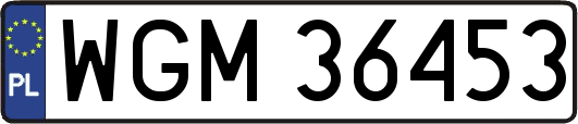 WGM36453