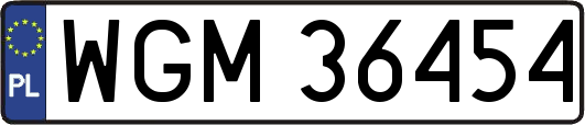 WGM36454
