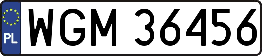 WGM36456