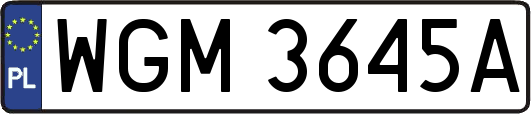 WGM3645A