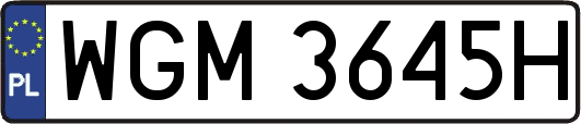 WGM3645H