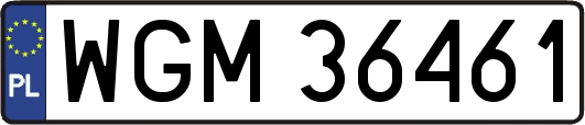 WGM36461