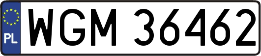 WGM36462