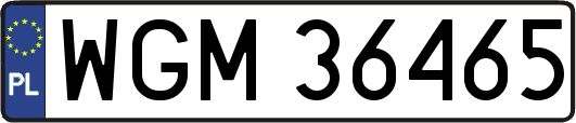 WGM36465