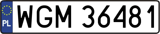 WGM36481