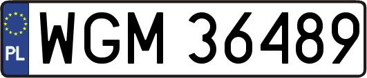 WGM36489