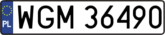 WGM36490