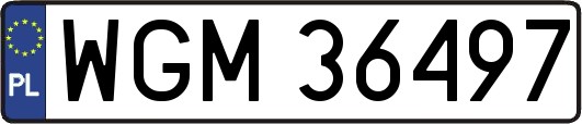 WGM36497