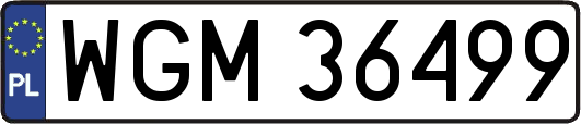 WGM36499