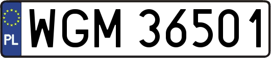 WGM36501