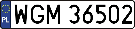 WGM36502