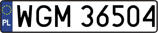 WGM36504