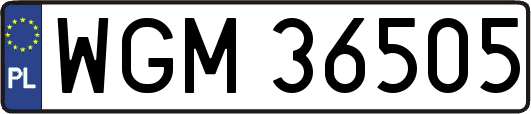 WGM36505