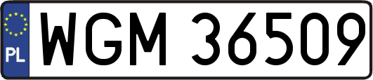 WGM36509