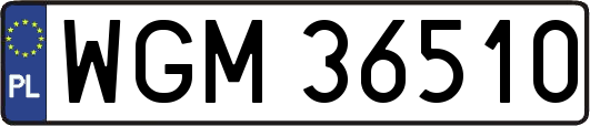 WGM36510